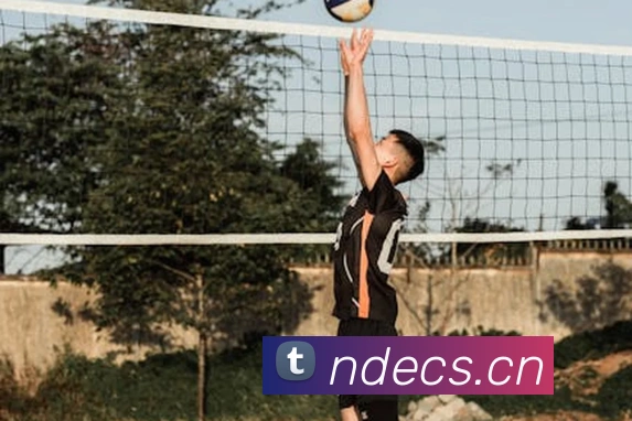 九游j9官方平台平台生态图